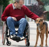 L'allocation aux adultes handicapés