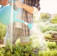 Comment arroser plus efficacement son potager ? / iStock.com - Neustockimages