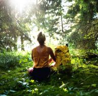 Le Shinrin-yoku, ou bain de forêt : une pratique japonaise pour se ressourcer