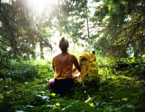 Le Shinrin-yoku, ou bain de forêt : une pratique japonaise pour se ressourcer