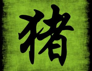 Signe chinois : le Cochon