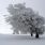 Neige : quels gestes adopter face au froid ?