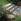 Construire un escalier © Bradstone
